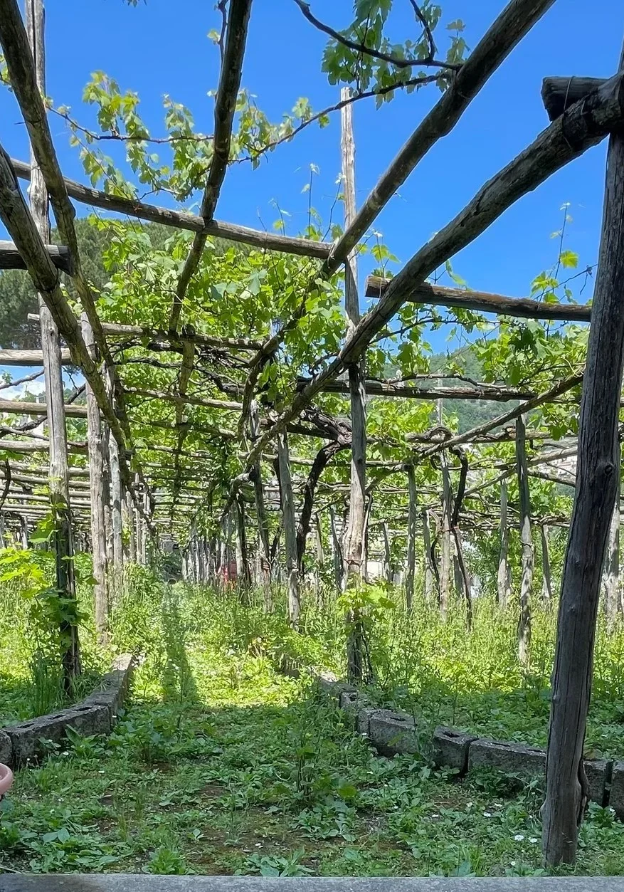 Italiangarden Italiangarden